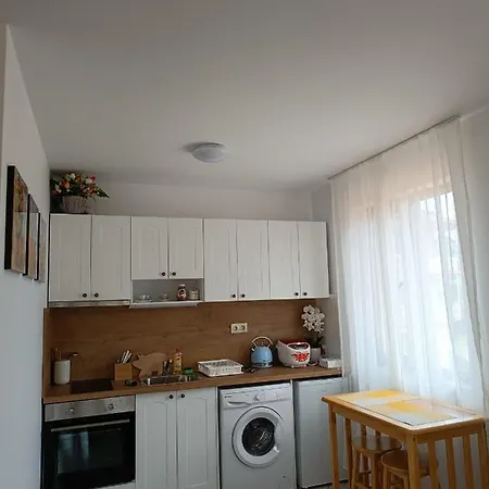 Студия Нестинарка Apartment Tsarevo